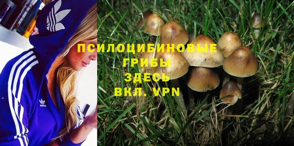 мяу мяу мука Аркадак