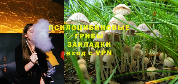 мяу мяу мука Аркадак