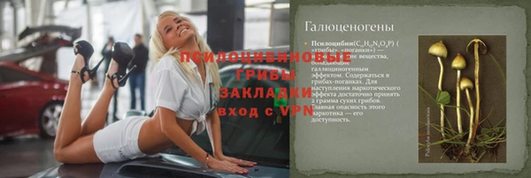 мяу мяу мука Аркадак