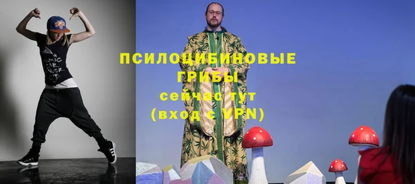 ГАЛЛЮЦИНОГЕННЫЕ ГРИБЫ Армянск