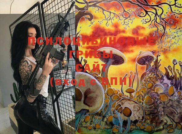 мяу мяу мука Аркадак