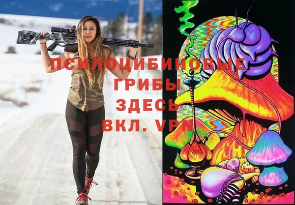 мяу мяу мука Аркадак