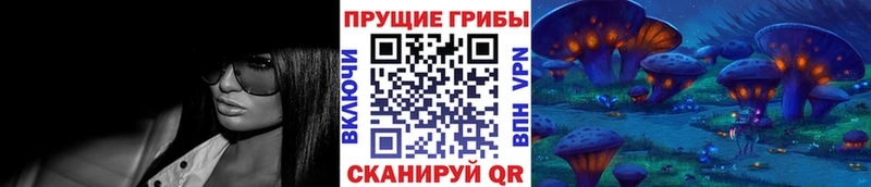 Галлюциногенные грибы Psilocybine cubensis  Купить  Яранск 